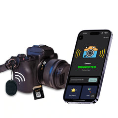 Dolphin Camera Gear